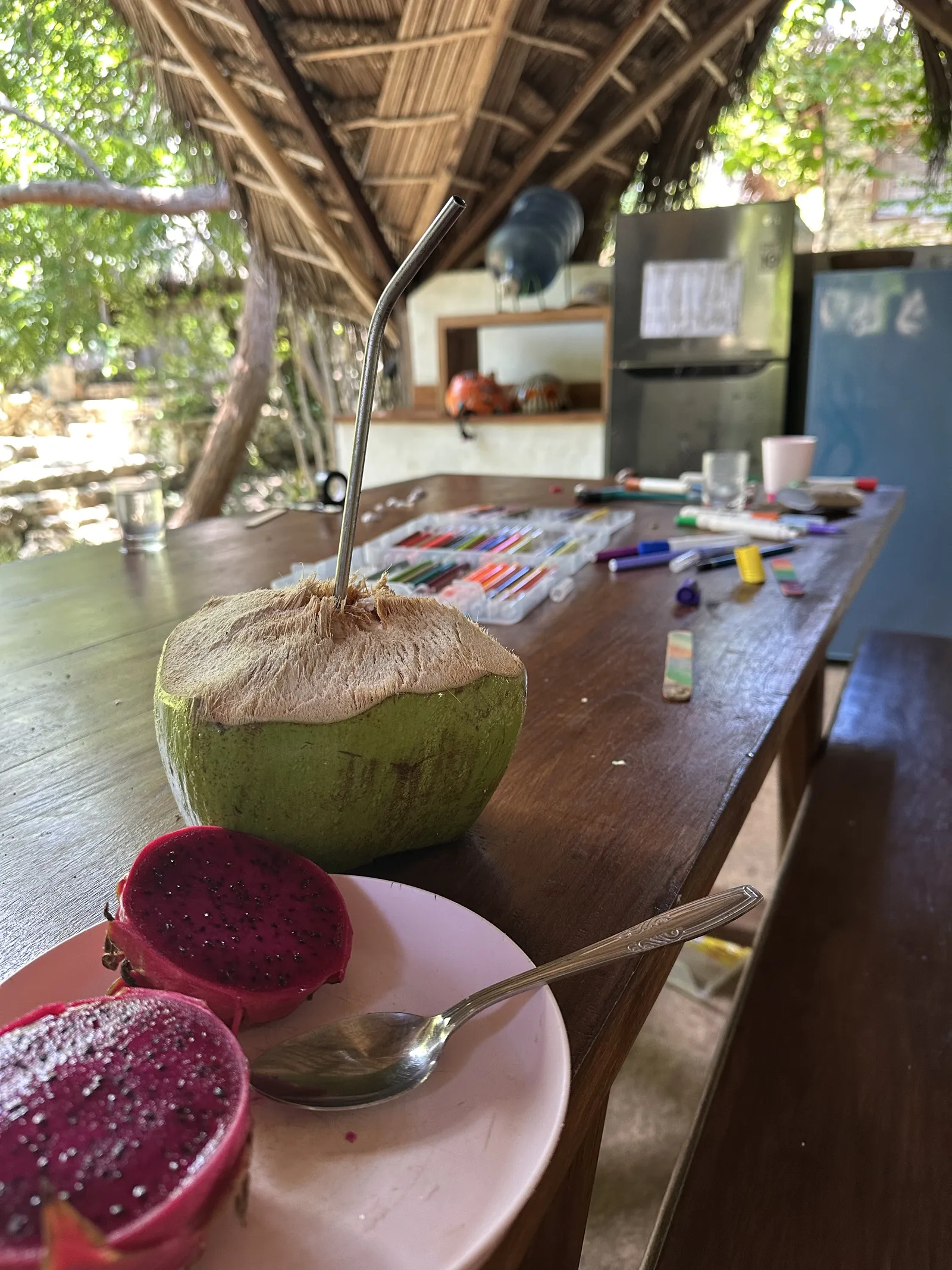 Island life — coconut and dragon fruit